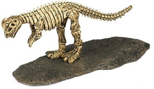 KIDDY-MOOV – Großhandel Spielfigur – Kinder – 🦖 DIE WELT DER DINOSAURIER – Dino-Fossil (6 verschiedene Modelle)9