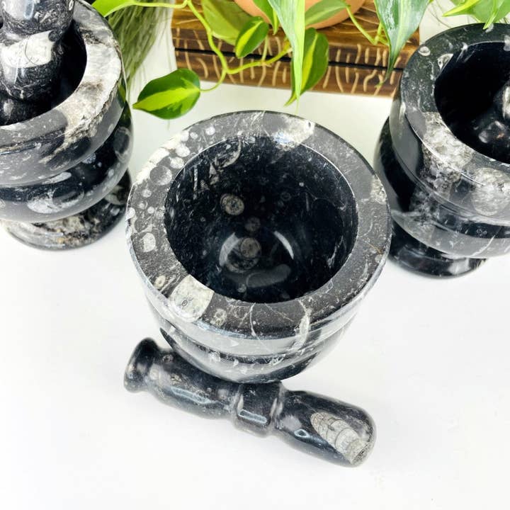 Rock Paradise - Wholesale Mortar & pestle - Orthoceras Fossil Mortar and Pestle5