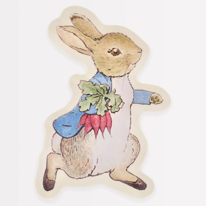 Peter Rabbitâ„¢ Reusable Plate for wholesale by Meri Meri