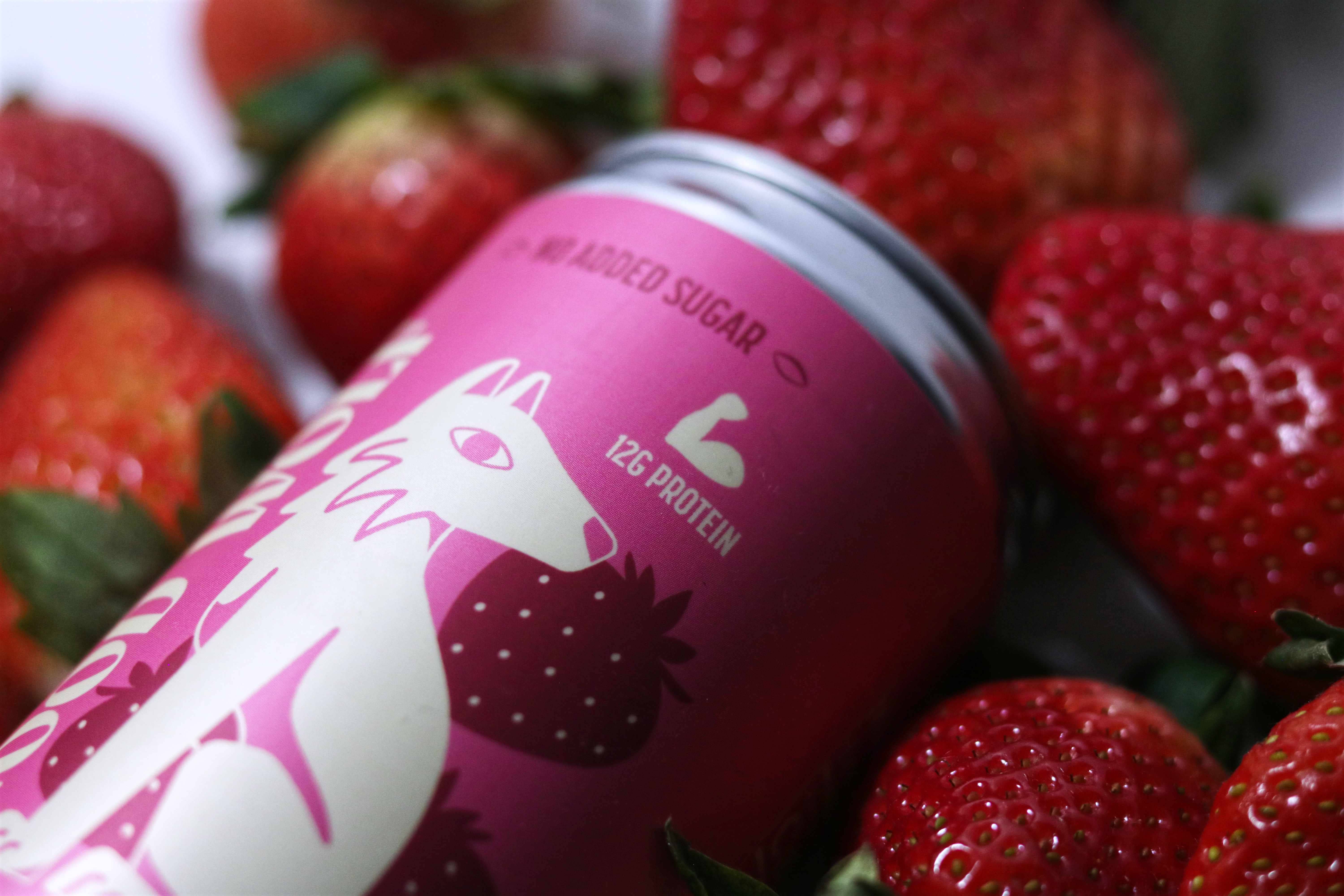 Good Wolf Beverages - Wholesale Soda/Carbonated Drink - Strawberry Strength Probiotic Protein Soda - 12oz 1