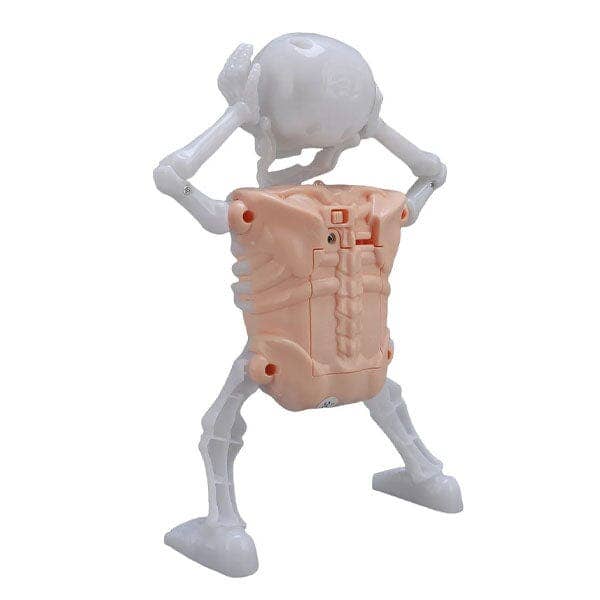 Showcase - Wholesale Gag Gift/Novelty Gift - SkellyVibes Glow-In-The-Dark Dancing Skeleton - Lights Up & Laughs!6