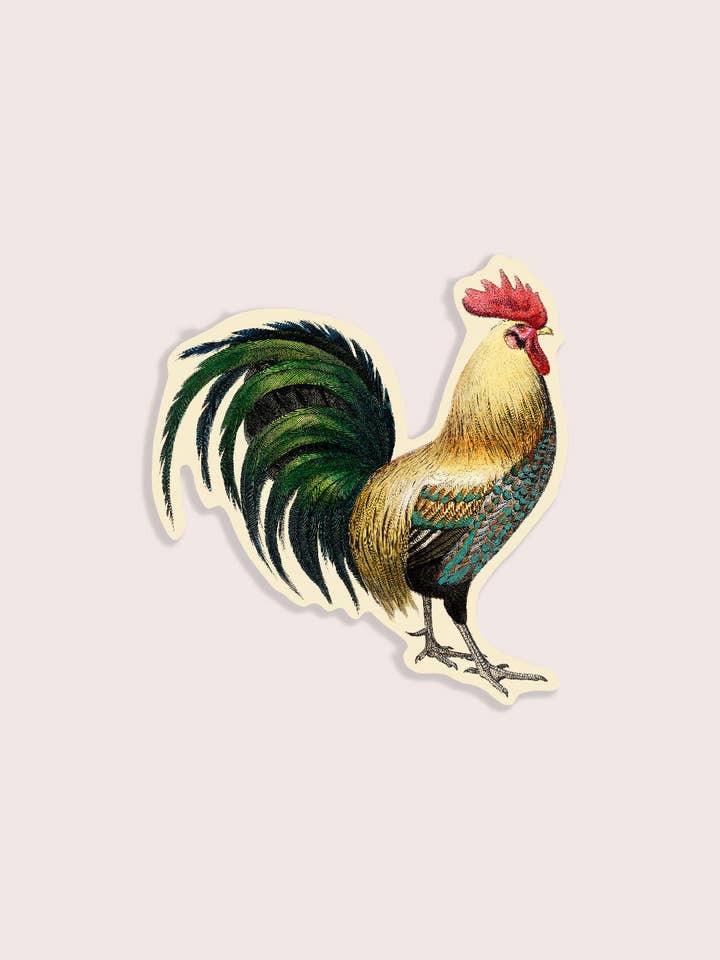 Rude Rooster - Gap Filler Sticker for wholesale by Stay Home Club