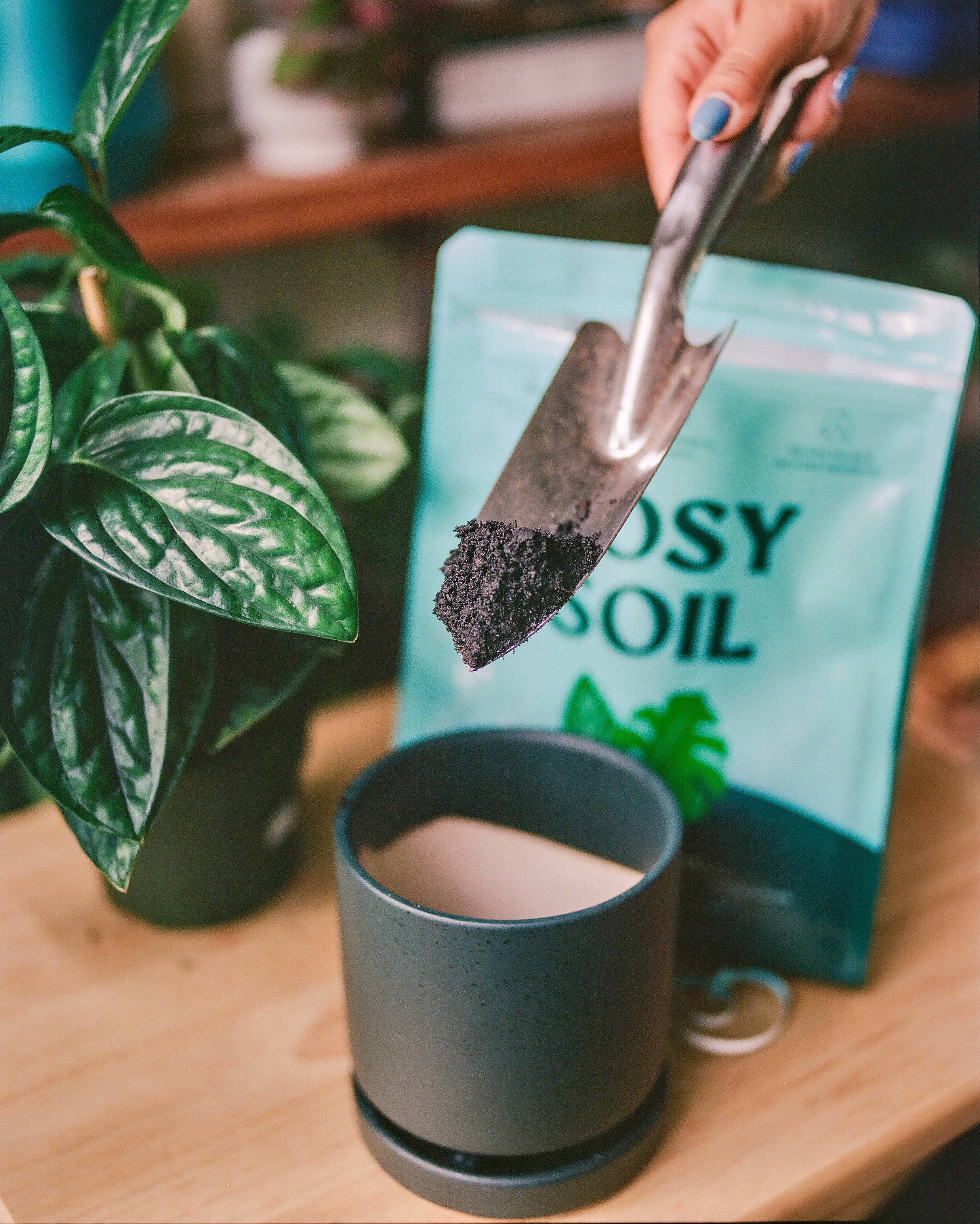 Rosy Soil - Wholesale Planting/Potting Soil - 4qt Organic potting soil mix, indoor, houseplant & herbs8