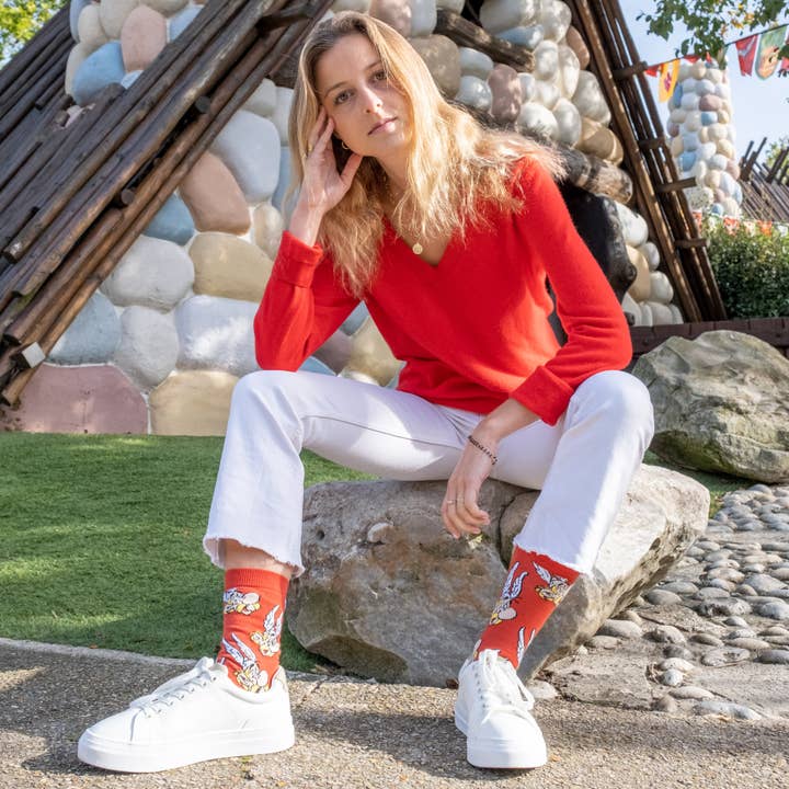 Asterix socks for wholesale on Faire2