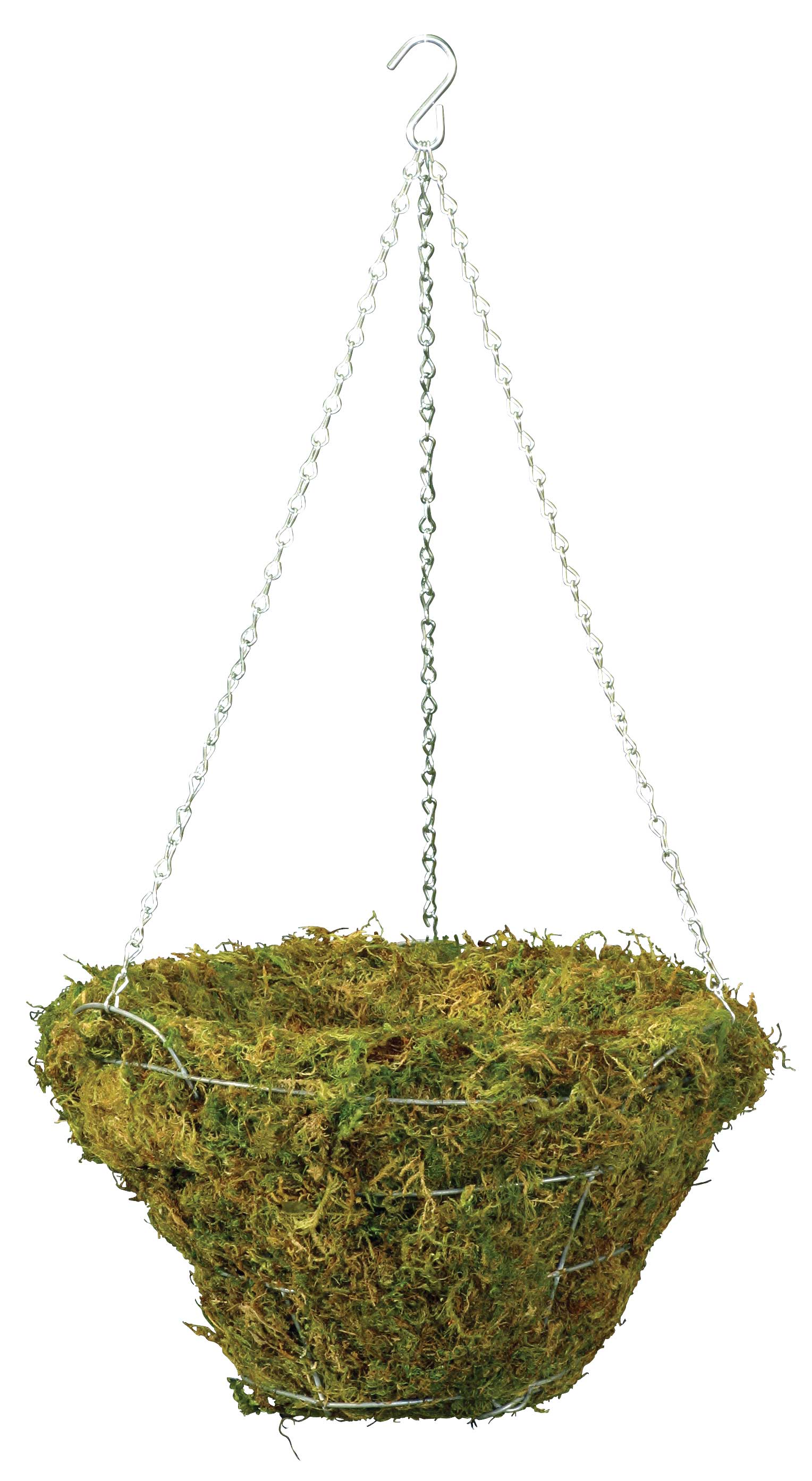 Braun - Wholesale Hanging Planter - Woodland Moss Hanging Basket with Chain - Galvanized #80