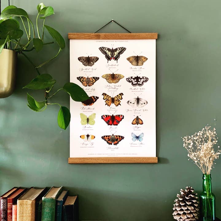 Georgiou Draws - Wholesale Art Print - British Butterflies Chart Watercolour Art Print