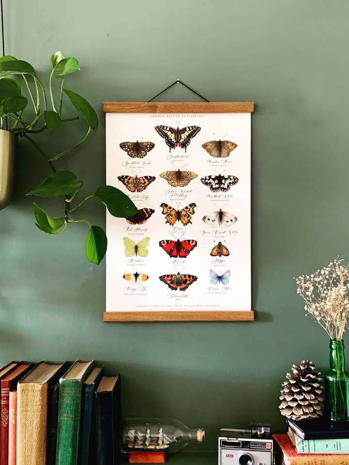 British Butterflies Chart Watercolour Art Print for wholesale by Georgiou Draws