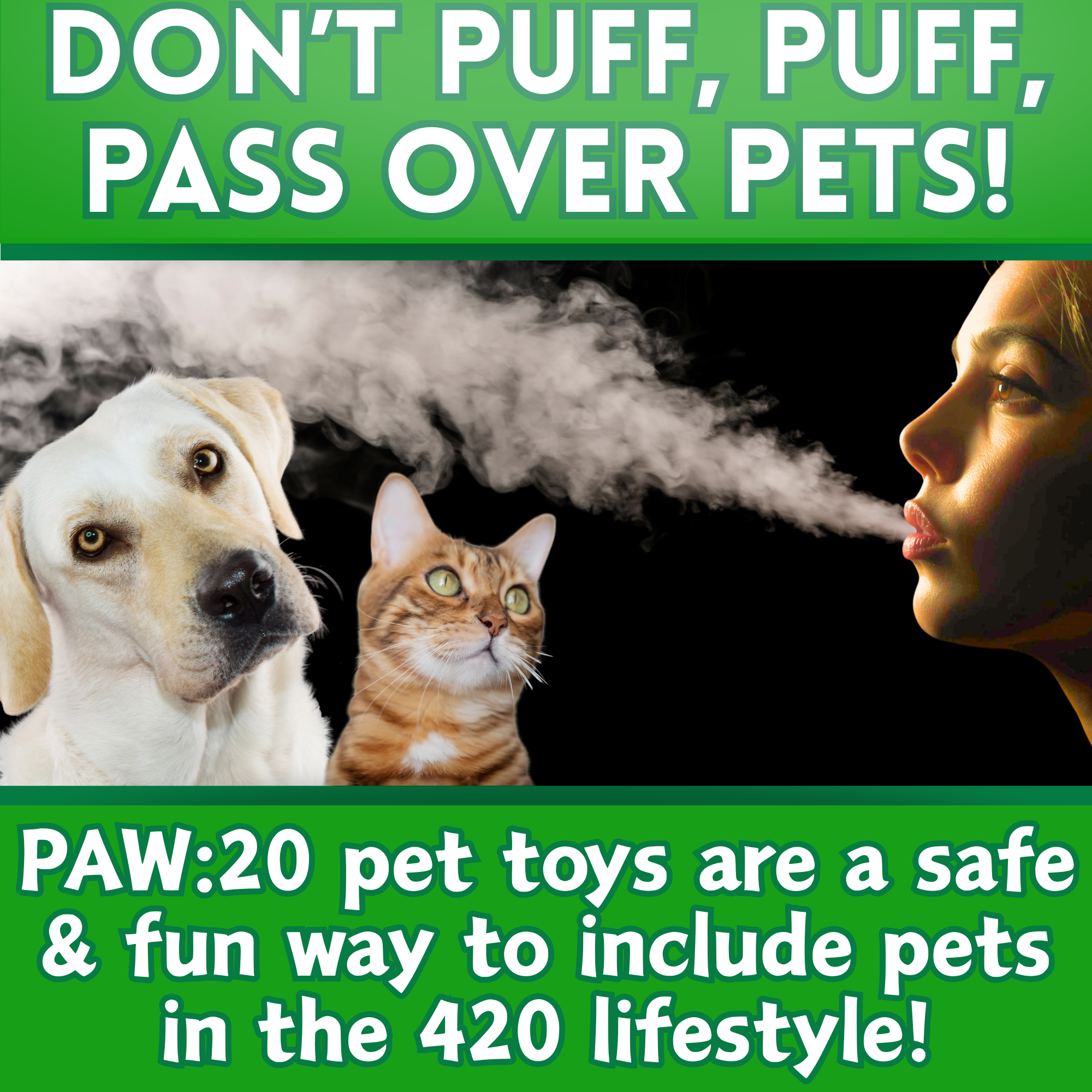 PAW:20 - Vente Jouet – chat - Lil Bo da Bong, Jouet Parodique en Peluche avec Herbe à Chat1