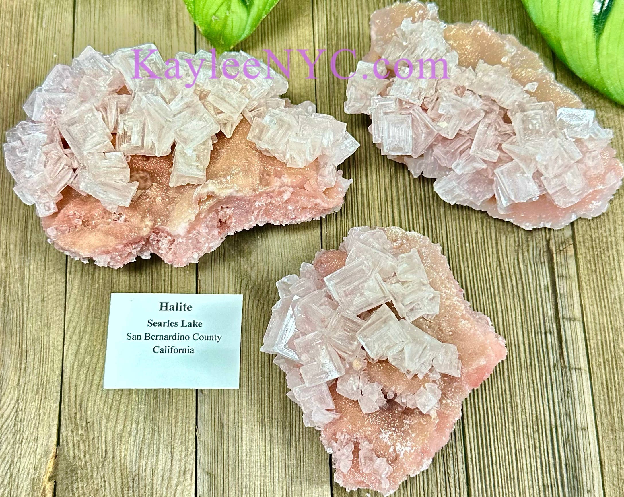 KayleeNYC - Wholesale Spiritual Stone/Crystal - Natural Pink Halite Specimen Raw Crystal4