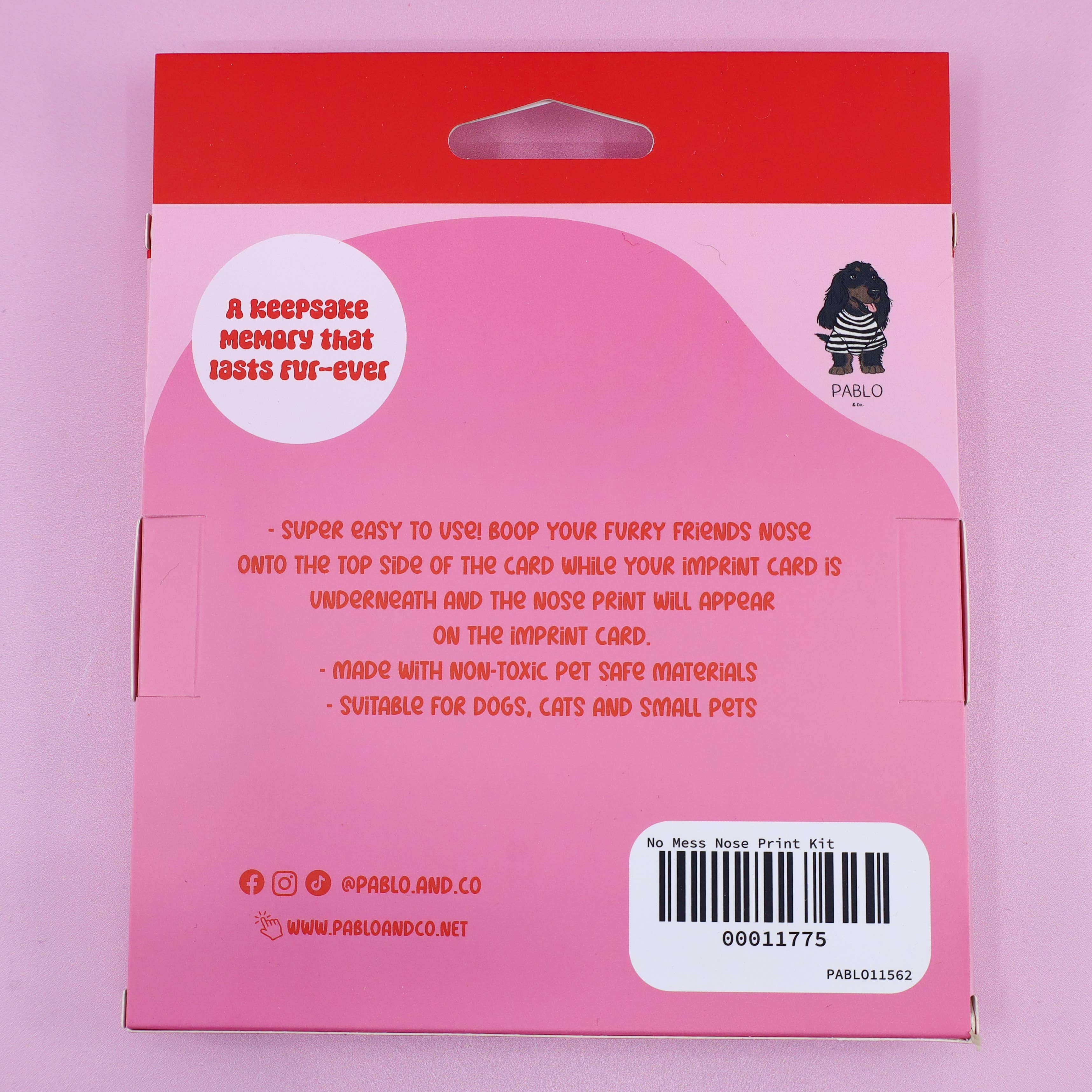 Pablo & Co. Boutique - Wholesale Doe-het-zelf-knutselset - Geen Rommel Neusafdruk Kit Door Pablo & Co.2