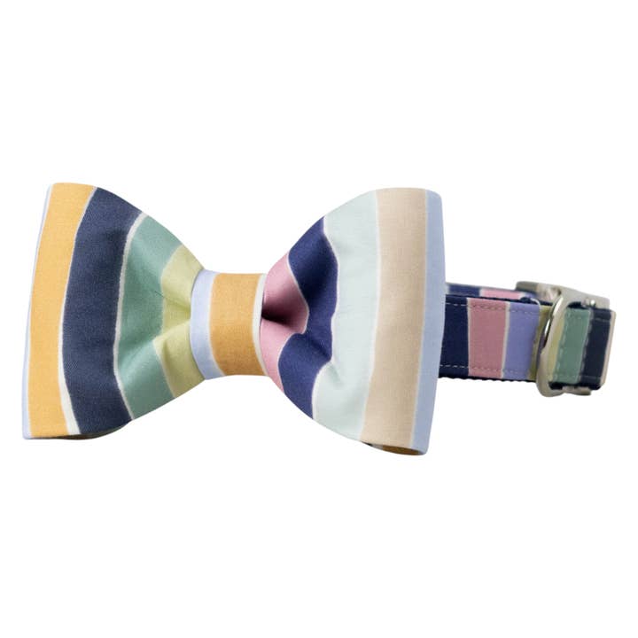 Collier pour chien avec nœud papillon à rayures du sud pour la vente par Crew LaLa