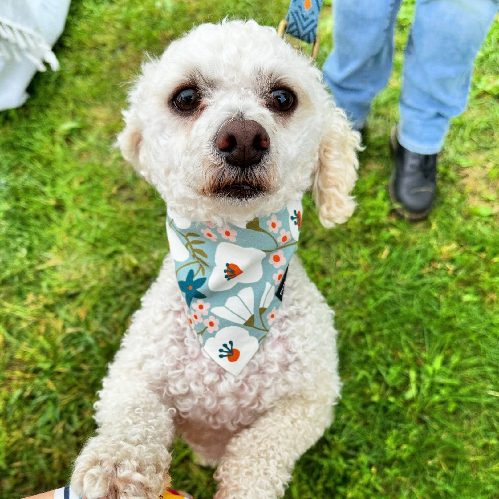 RUFFLECT Dog Bandanas - Wholesale Pet Bandana - Dog - Flora Organic Cotton RUFFLECT® Dog Bandana7