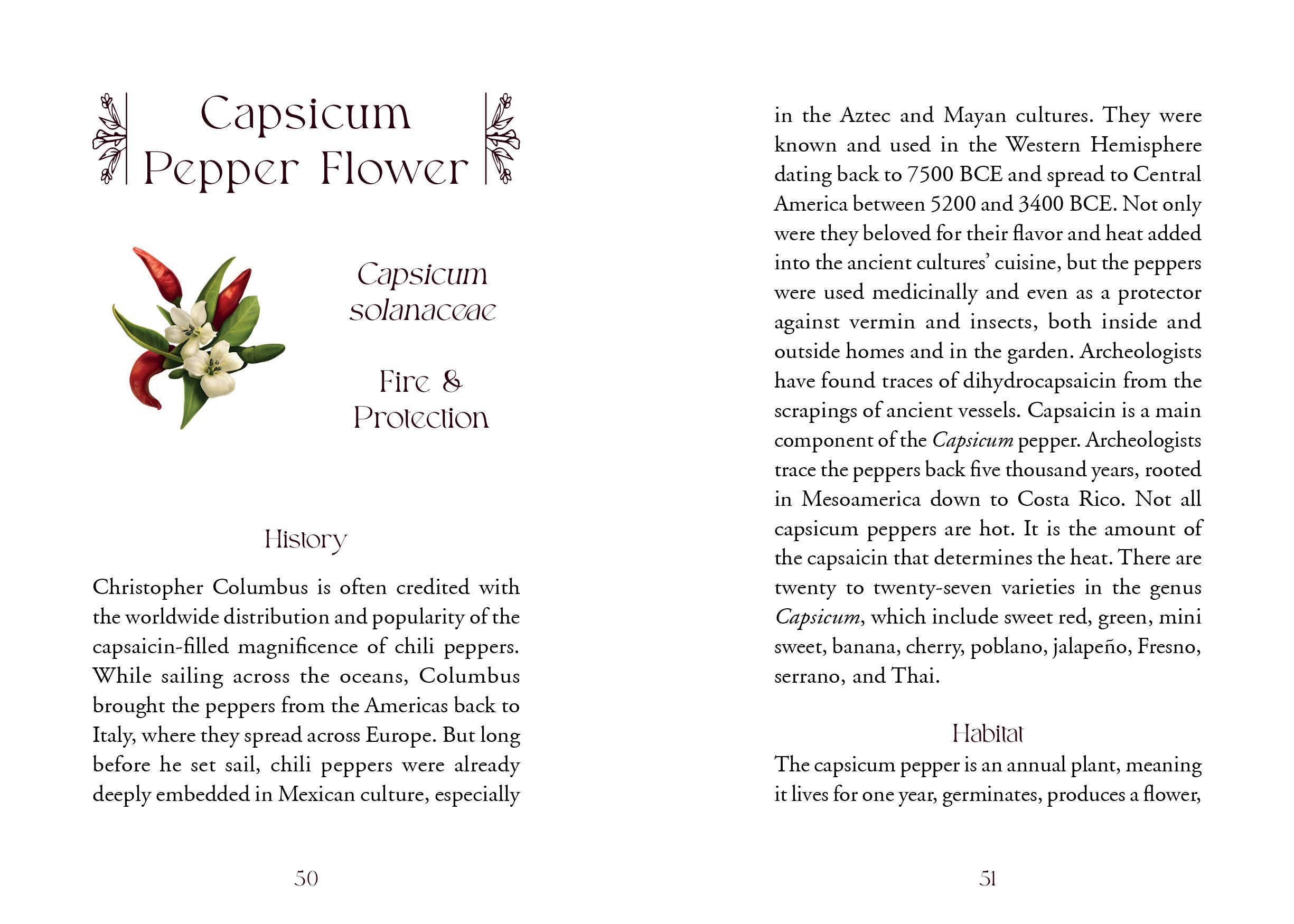 Schiffer Publishing – wholesale Tarot cards – The Flowerwise Oracle4