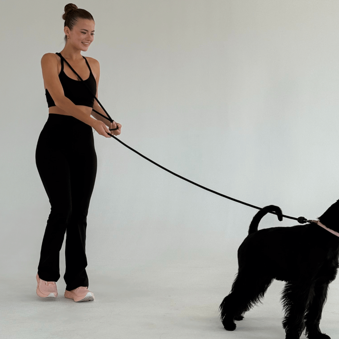 ST ARGO - Wholesale Pet Leash - Dog - HANDS FREE LEAD - Black2