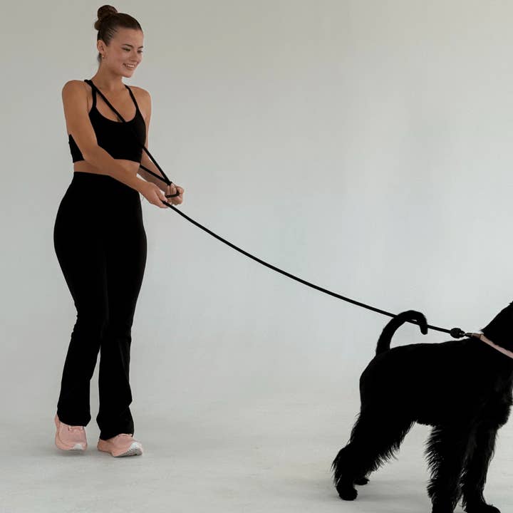 ST ARGO - Wholesale Pet leash – Dog - HANDS FREE LEAD - Black2