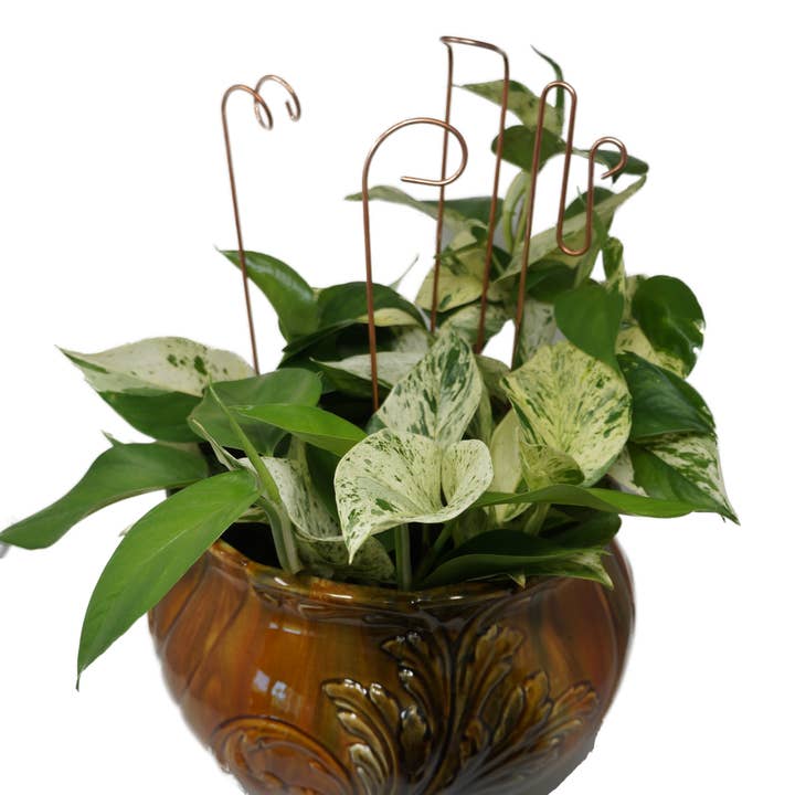 The Brass Butterfly - Wholesale Garden/Lawn Stake - Unique Plant Support Stakes (set of 4)1