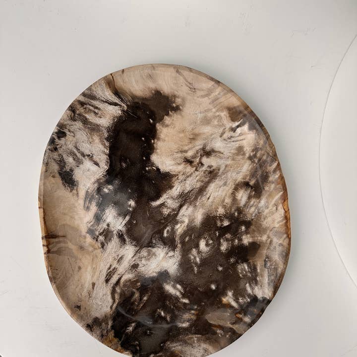 Office Objets - Wholesale Decorative Plate/Dish/Bowl - Very large catchall or dish in petrified wood23