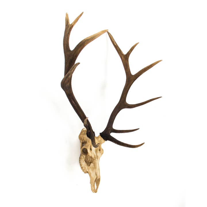 Off-White Deer Skull Wall Decor for wholesale on Faire1