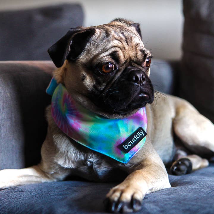 bcuddly - Wholesale Pet Bandana - Dog - Dog Bandana - Tye Dye2