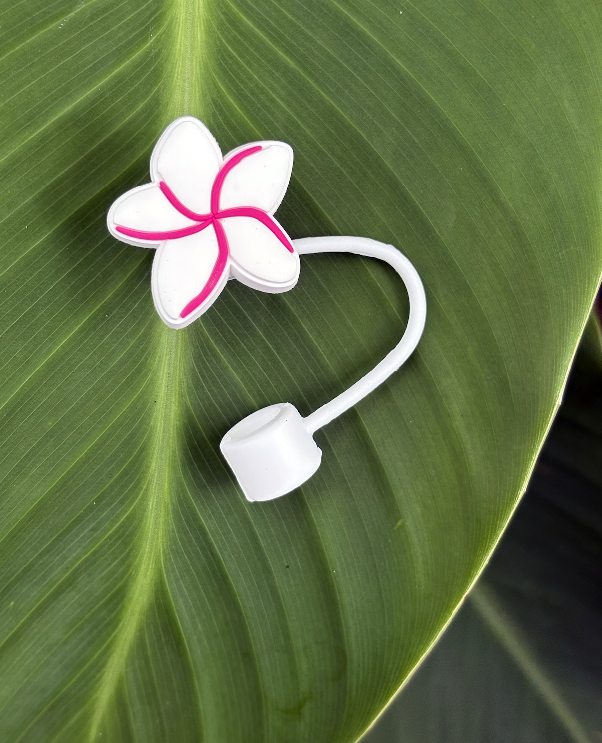 Left Right Design - Wholesale Drinking Straw - Straw Toppers - Hawaii inspired11