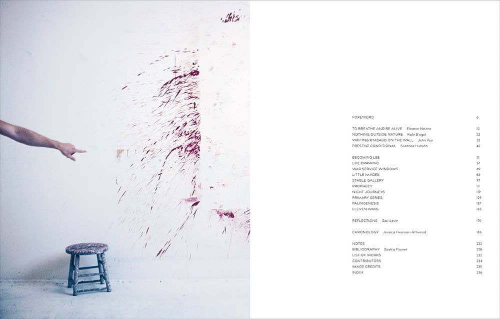 W. W. Norton - Wholesale Arts & Entertainment - Lee Krasner2