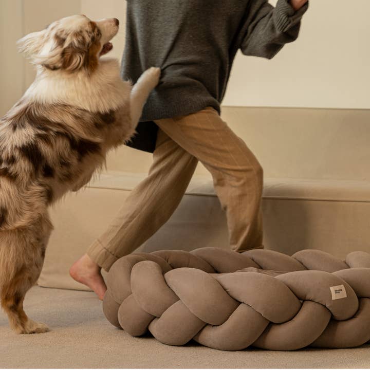Hunting Pony - Vendita all'ingrosso Letto - Cani - Cuccia per cani Pony kolosony beige