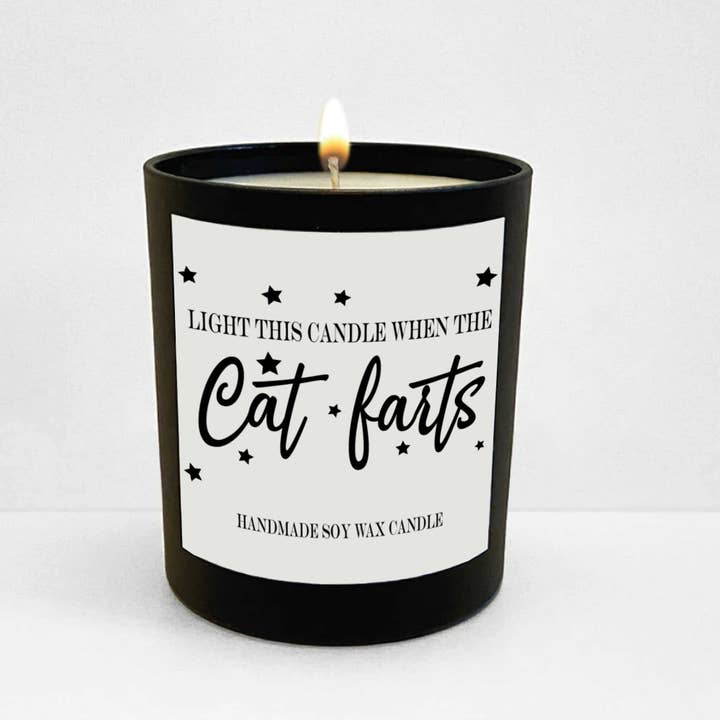 Cheeky Chops Cards & Wanky Candles - Vente Bougie en bocal - Bougie en pot noir - Allume-moi quand le chat pète