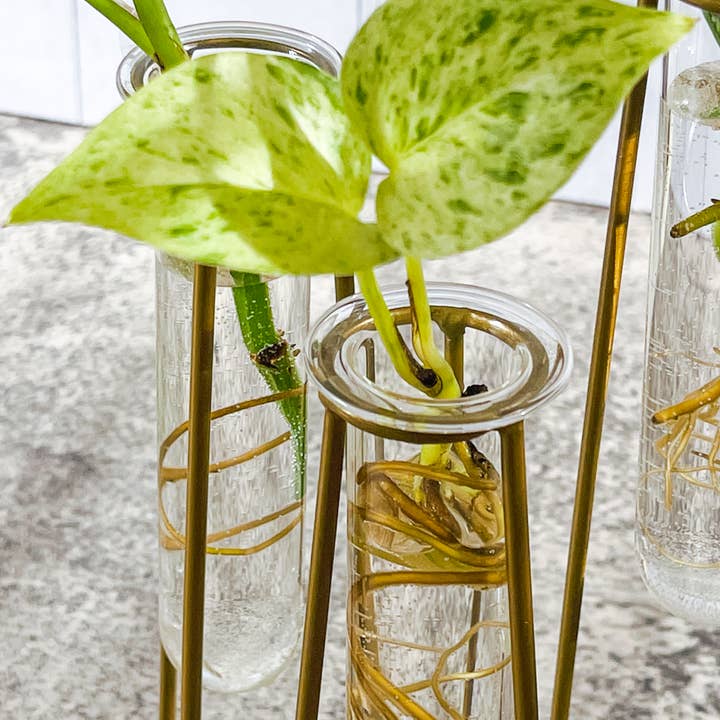Kate Aspen - Wholesale Vase - Test Tube Flower Vase