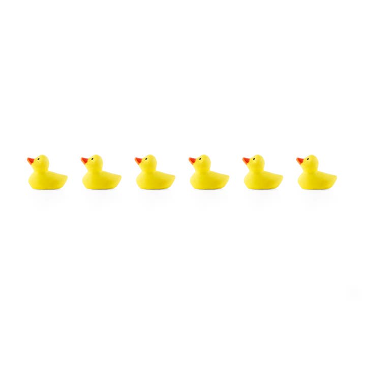 Three by Three Seattle - Wholesale Magnet - colorful duck magnets