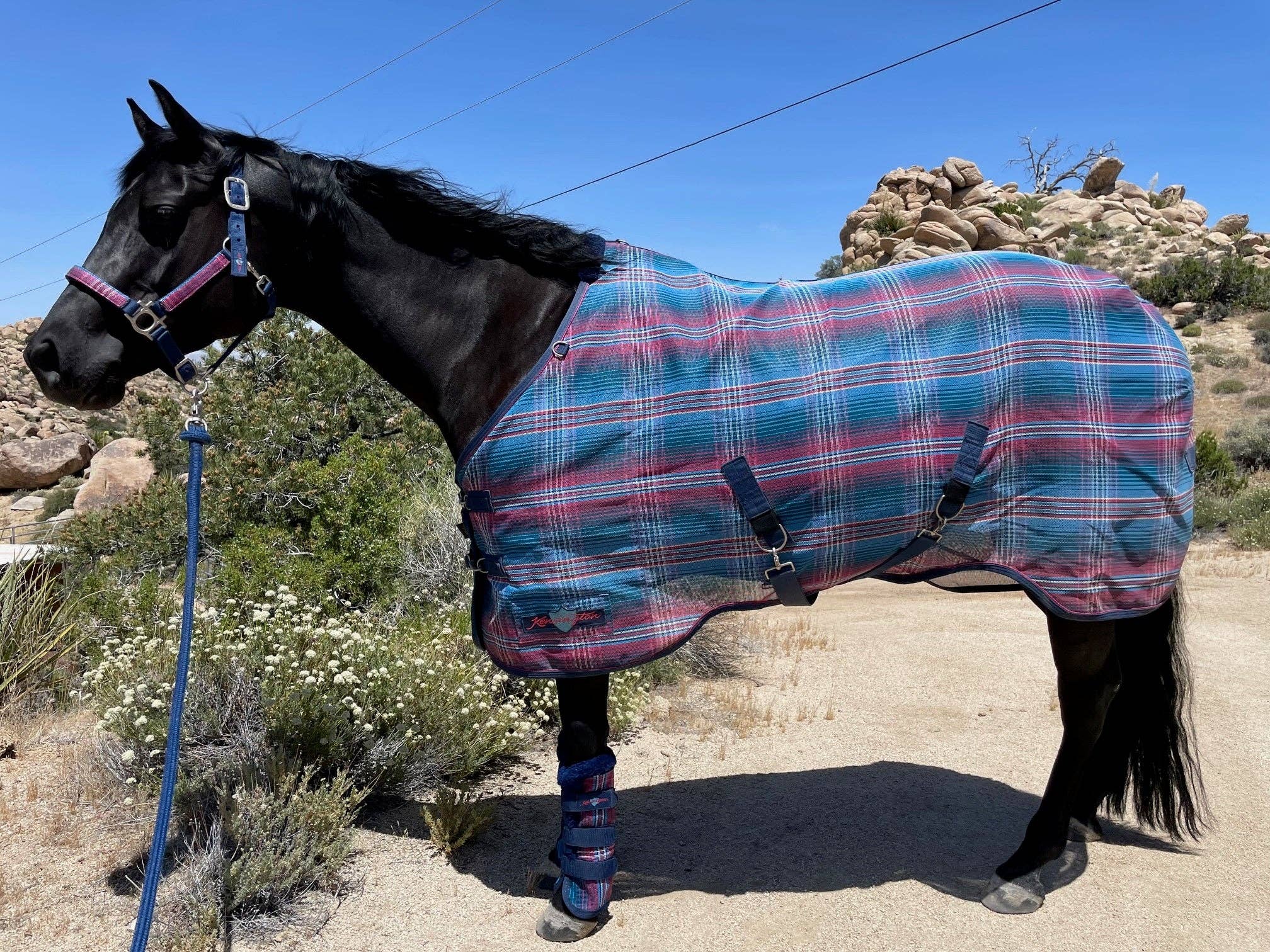 Kensington - Wholesale Horseback Riding Gear - 73% UV Horse Protective Fly Sheet SureFit® Designed for an ideal Fit11