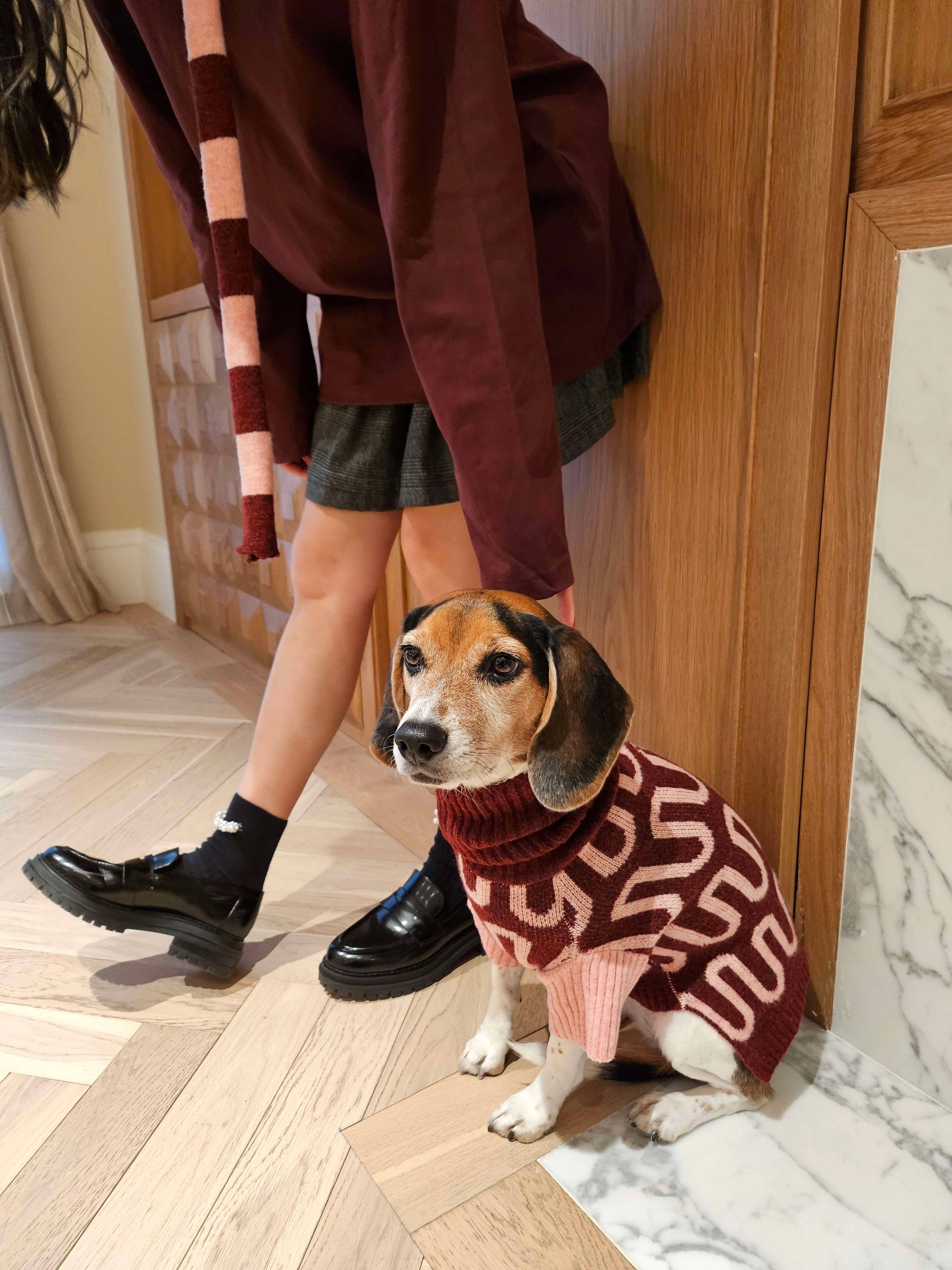 BarkBarkBaby - Wholesale Pet Sweater - Dog - Rosé Bliss Sweater7