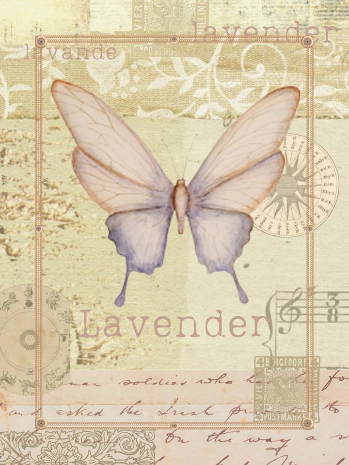 Vintage Inspired Butterfly for wholesale by Bundle Kids Cards