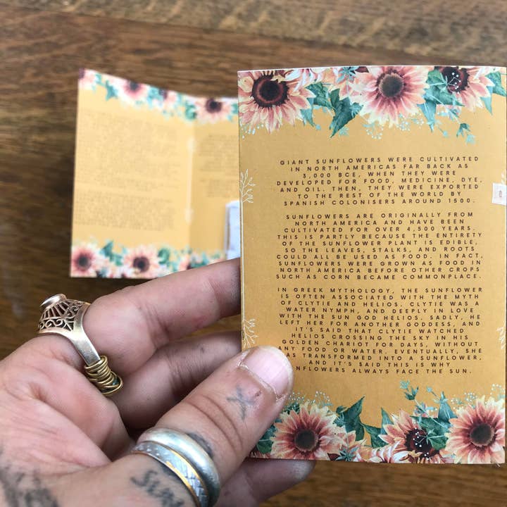 lotusleafaltars - Wholesale Plant seeds - Giant Titan Sunflowers - Seeds & Grow Guide2