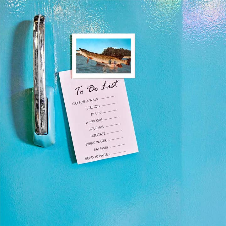 Found Image Press - Wholesale Magnet - Magnet FS-23 Giant Pike in Boat1