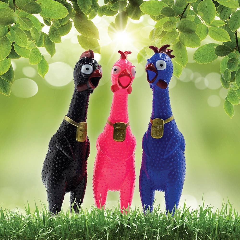 The Source Wholesale LTD - Venta al por mayor Regalo de broma/detalle - Pollo de Estrés Graznador0