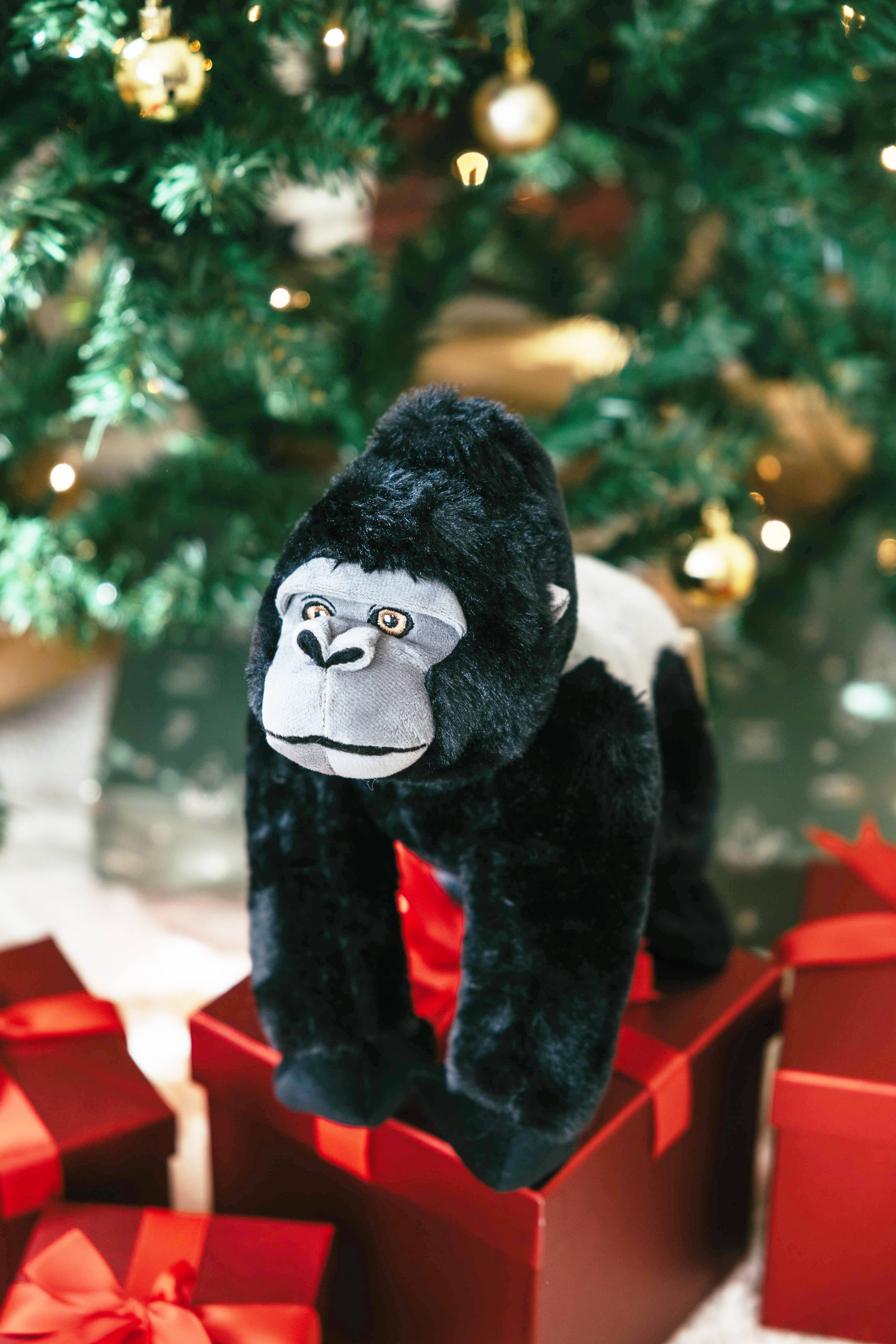 The Petting Zoo – Engroshandel Plyslegetøj - Børn og baby – Earth Keeperz Silverback Gorilla medium 12" Genbrugsbamse1