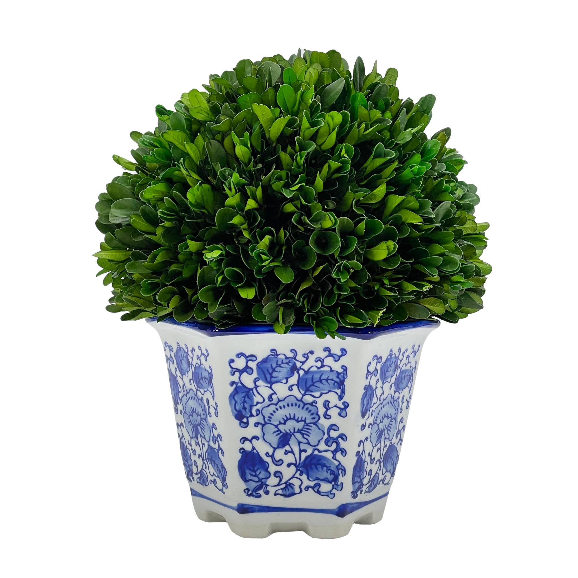Galt International Company - Wholesale Artificial Plant - Boxwood Ball Topiary in Hexagon Blue & White Ceramic Pot1