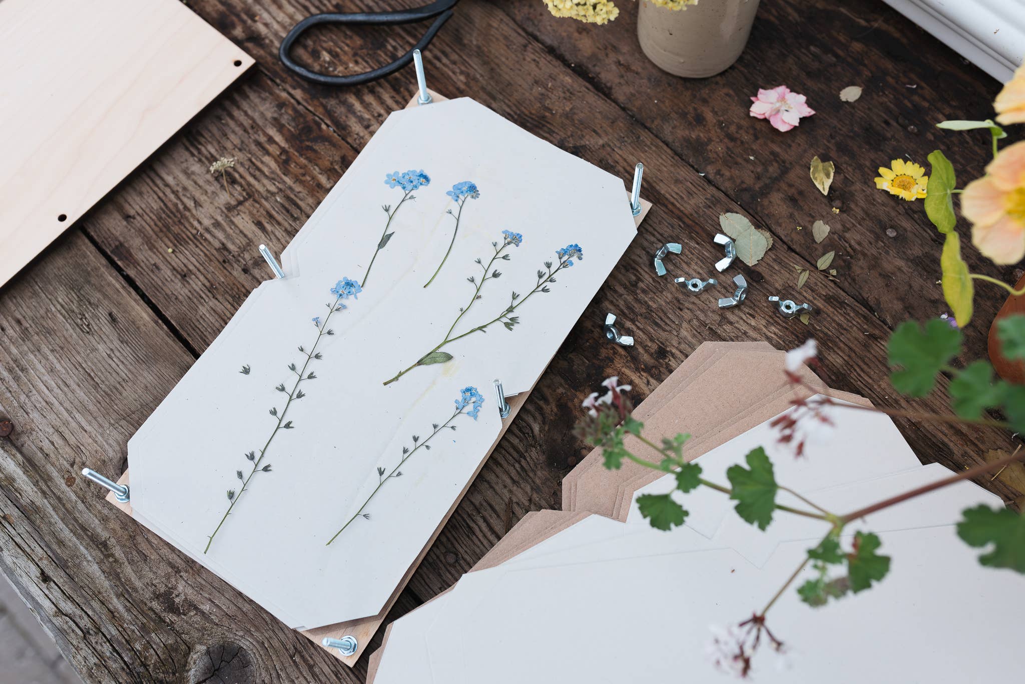 Studio Wald - UK Made - Wholesale DIY Craft Kit - Large Flower Press - Silhouette4