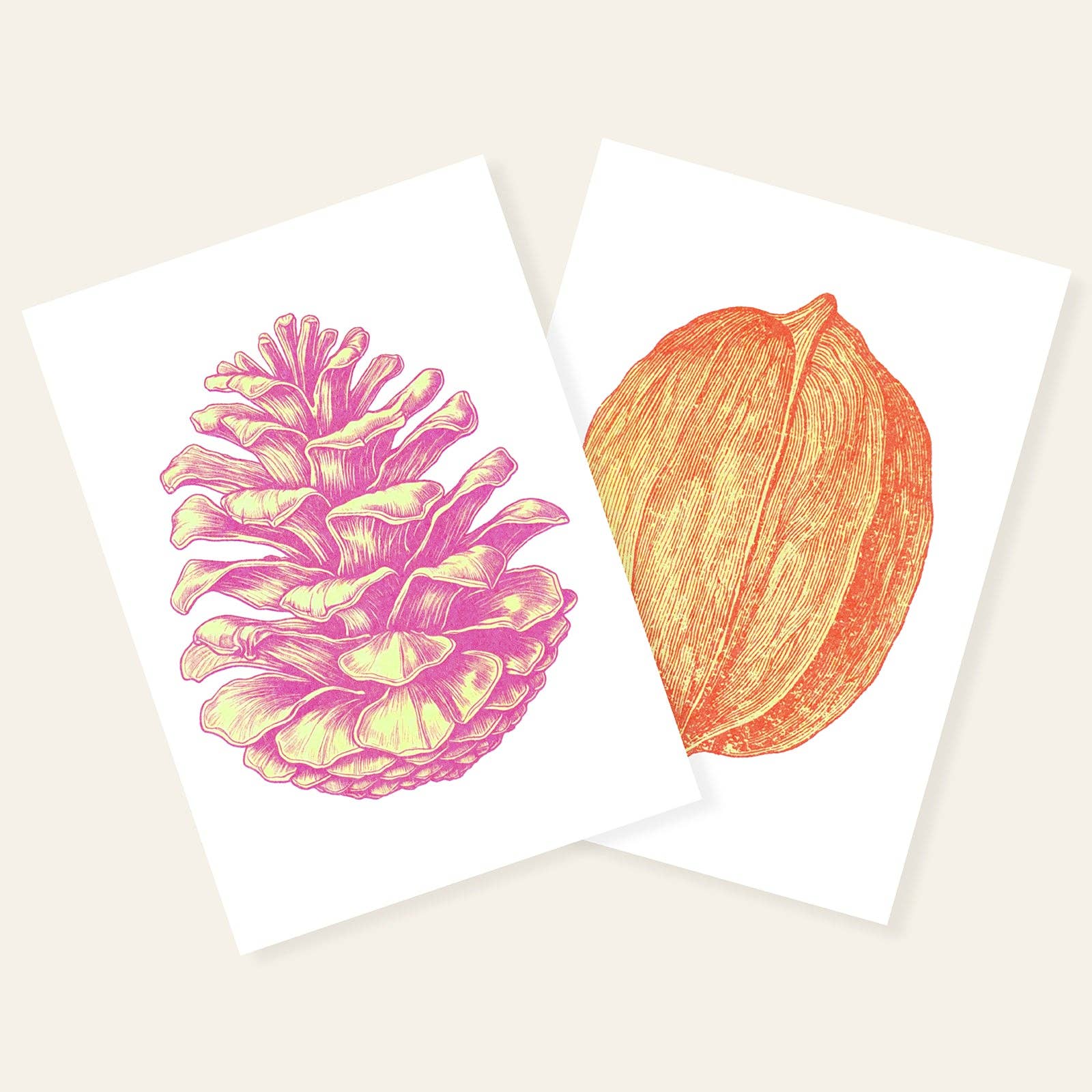 HERR & FRAU RIO - Wholesale Postcard - Pinecone Postcard2