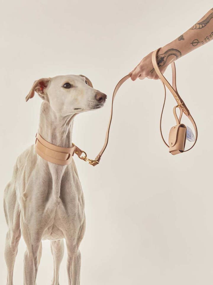 Dog leash · Nude for wholesale by INDÓMITO
