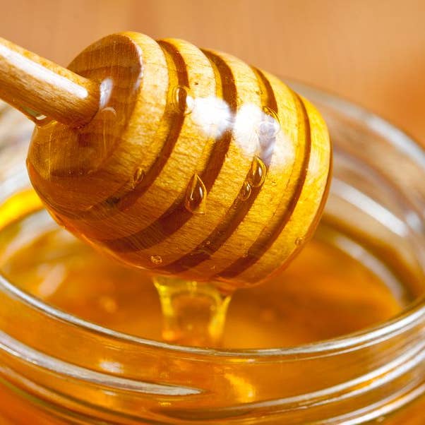 Honey for wholesale by Power Plant Wellness