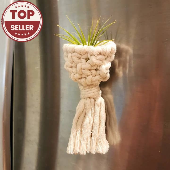 Magnet til luftplanteholder | Håndlavede planteaccessories for engroshandel hos Handmade By Uruba
