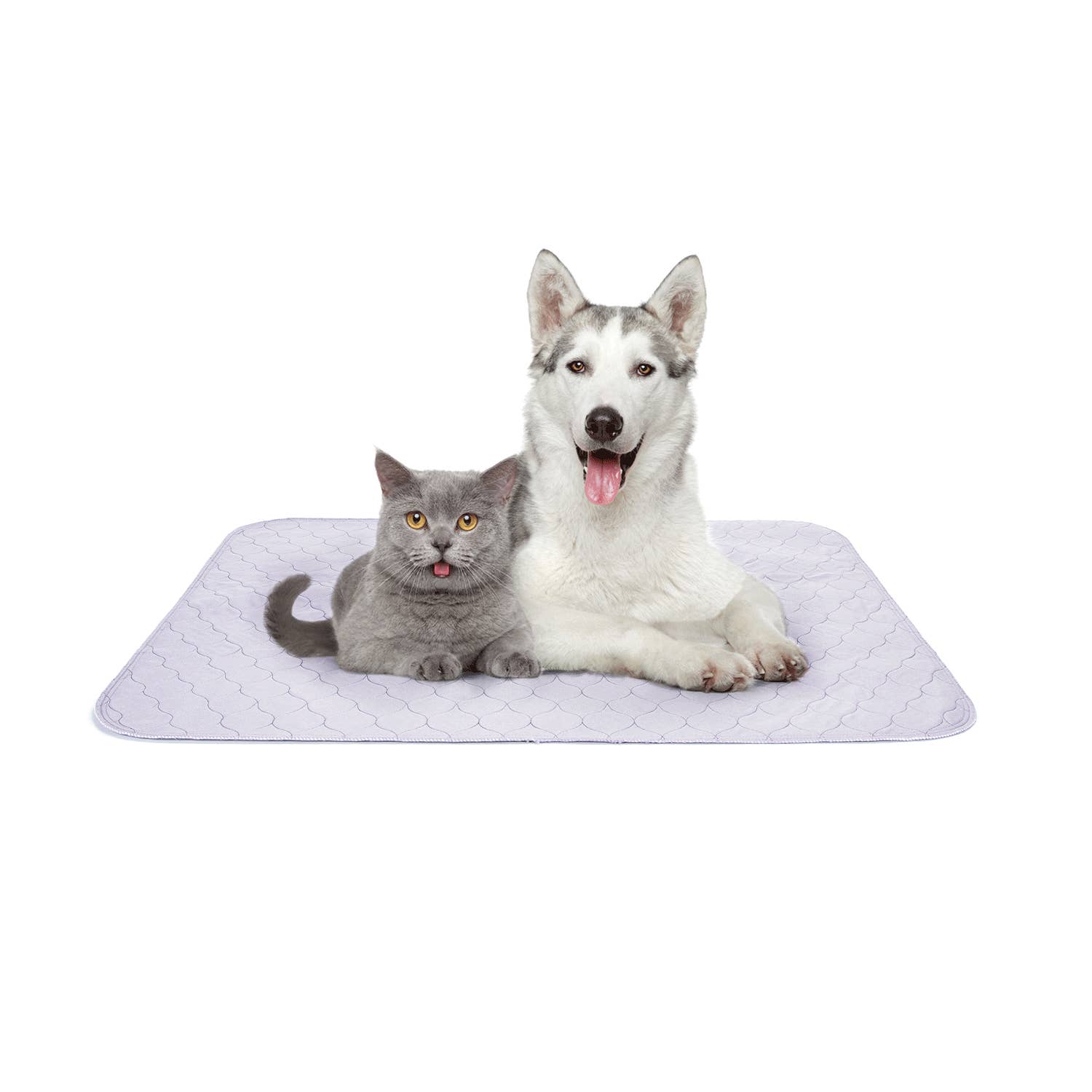Nobleza - Wholesale Pet pee pad – Dog - Washable Training Pad For Dogs