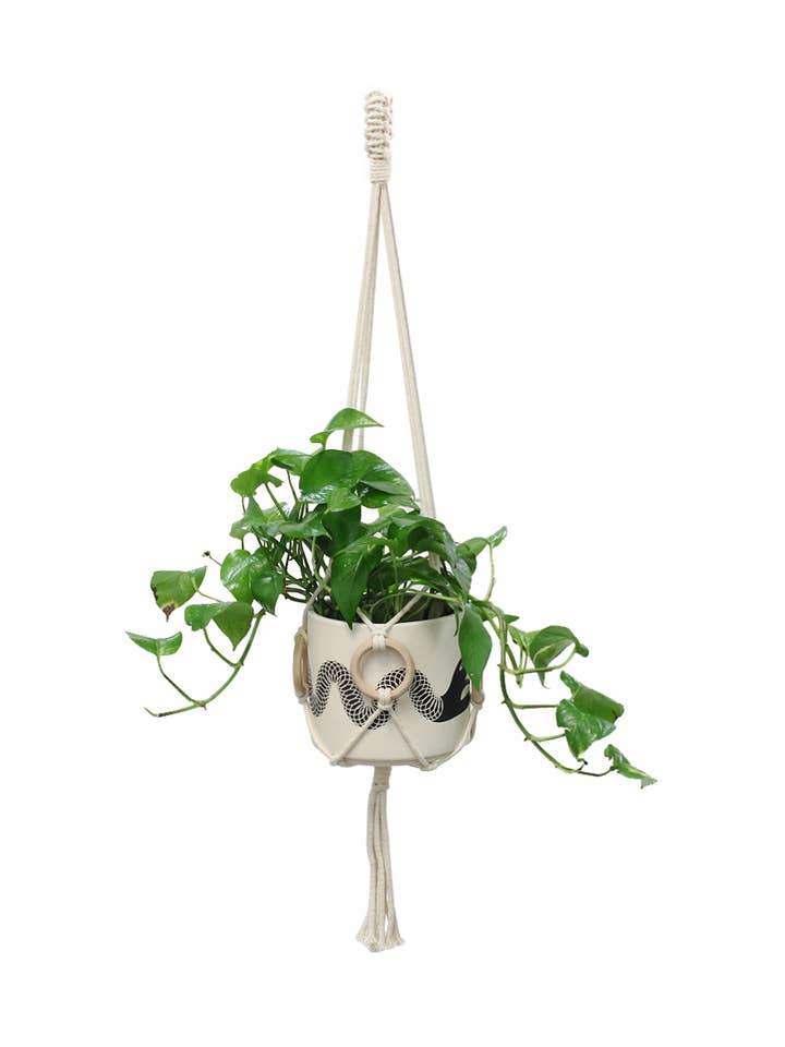 Indoor Garden Plant Hanger for wholesale by Soul of the Party