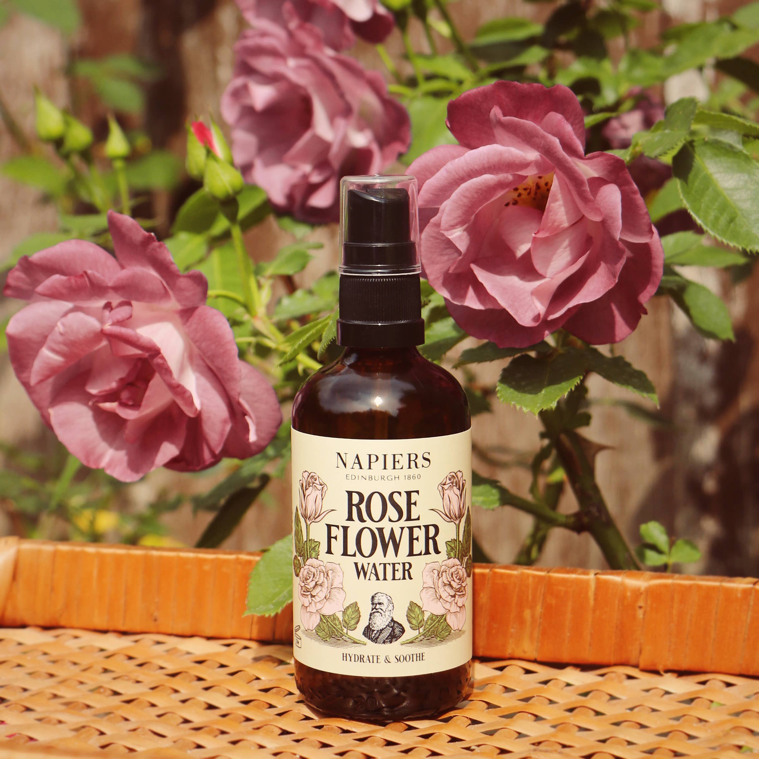 Napiers – Engroshandel Ansigts- og kropsspray – Napiers rosenblomstvand3