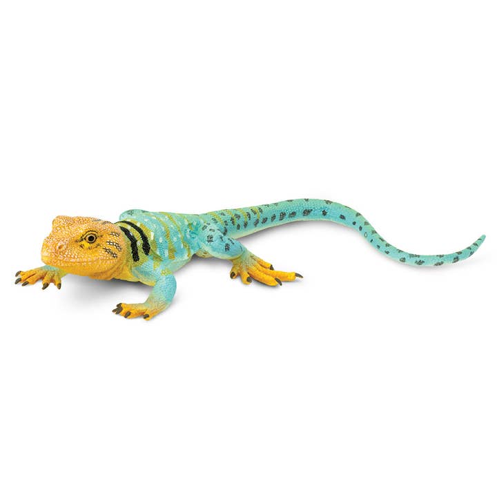 Safari Ltd. - Wholesale Figurine Toy - Kids - Collared Lizard - 2710292