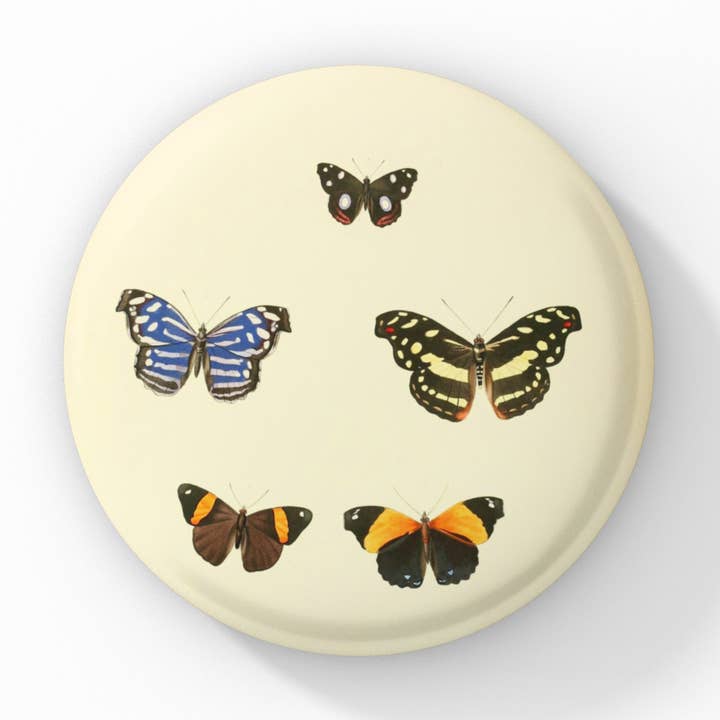 Butterfly Pin Button, Butterfly Keychain, Butterfly Magnet for wholesale by NatureCuts