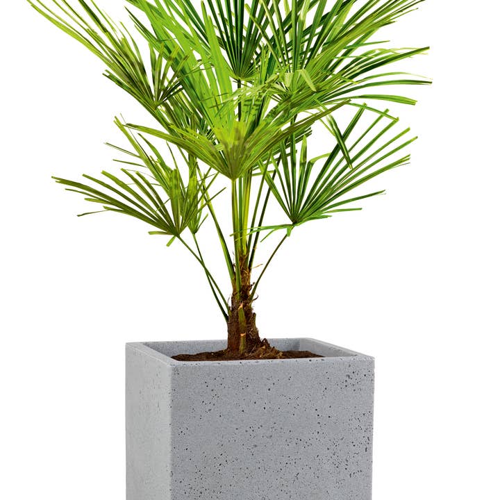 Scheurich - Wholesale Plant Pot - C-Cube 240 plastic flower pot/planter13