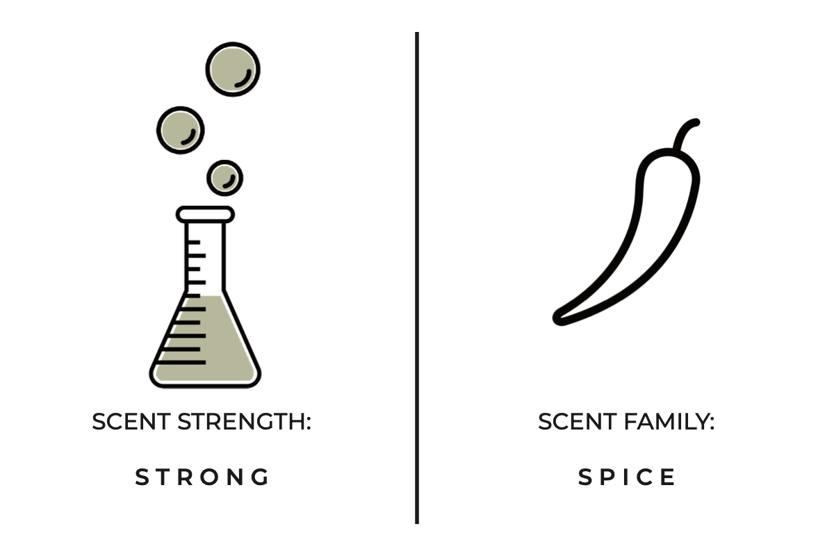 True Hue - Wholesale Reed Diffuser - Blood Moon Reed Diffuser3