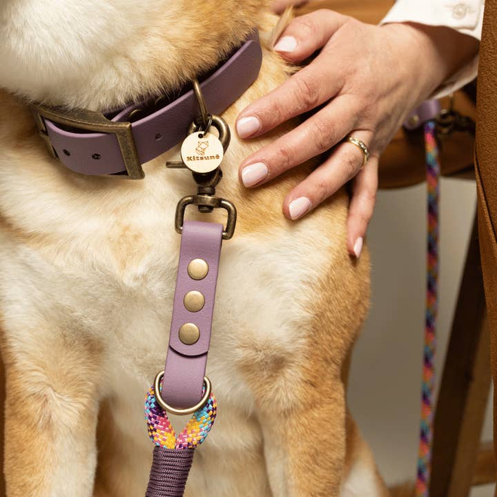 KITSUNE.DOG - Wholesale Pet Leash - Dog - Rainbow paracord MULTIPOSITION leash / LILAC biothane1